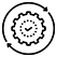 Activation phase